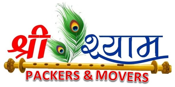 Ahmedabad packers and services